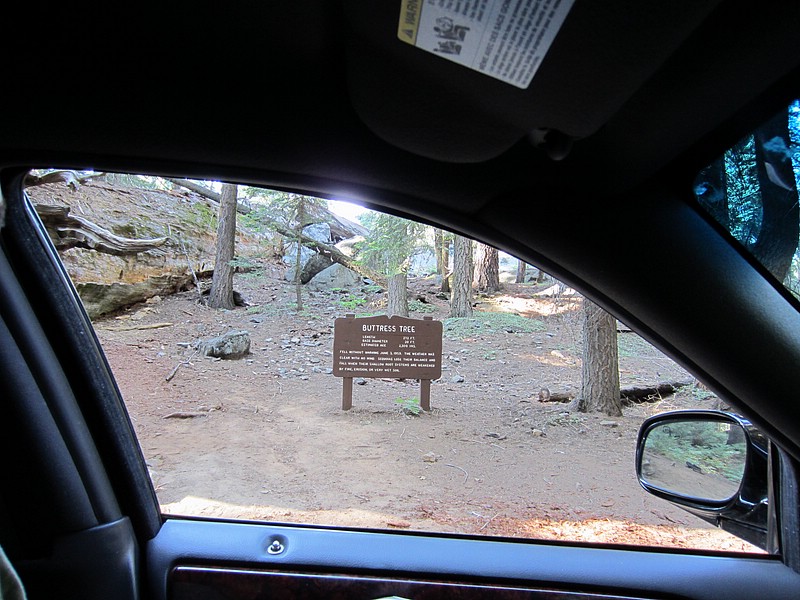 zzm) Saturday 21 July 2012 ~ Giant Forest Sequoia Grove (Sequioa National Park, Moro Rock-Crescent Meadow Road).JPG