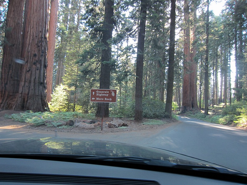 zzt) Saturday 21 July 2012 ~ Giant Forest Sequoia Grove (Sequioa National Park, Moro Rock-Crescent Meadow Road).JPG