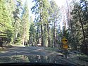 zzg) Saturday 21 July 2012 ~ Moving On ... (Sequioa National Park, Moro Rock-Crescent Meadow Road).JPG