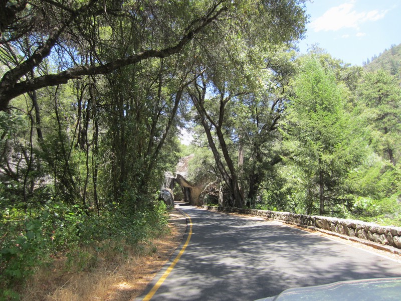 j) SaturdayAfternoon 19 July 2014 ~ Yosemite Valley.JPG