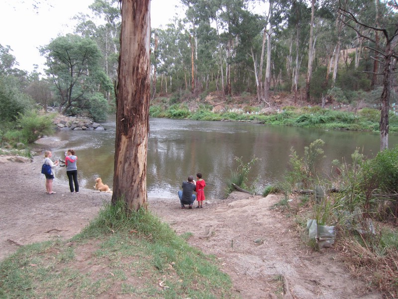 za) SaturdayAfternoon 22 March 2014 ~ Walk Along The Banks Of The Yarra River (East of Melbourne).JPG