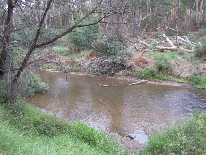 ze) SaturdayAfternoon 22 March 2014 ~ Walk Along The Banks Of The Yarra River (East of Melbourne).JPG