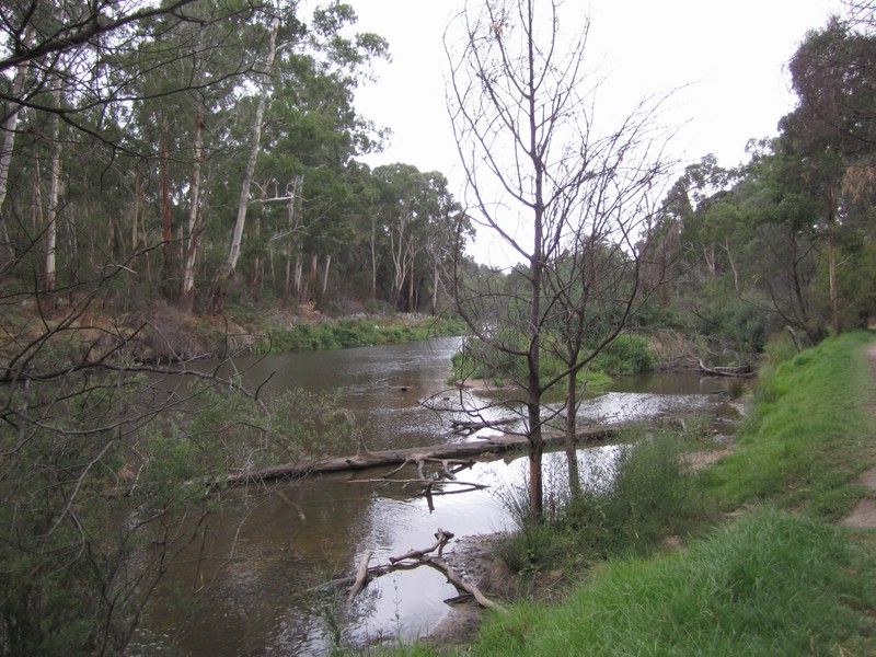 zn) SaturdayAfternoon 22 March 2014 ~ Walk Back To The Car Along The Banks Of The Yarra River (East of Melbourne).JPG