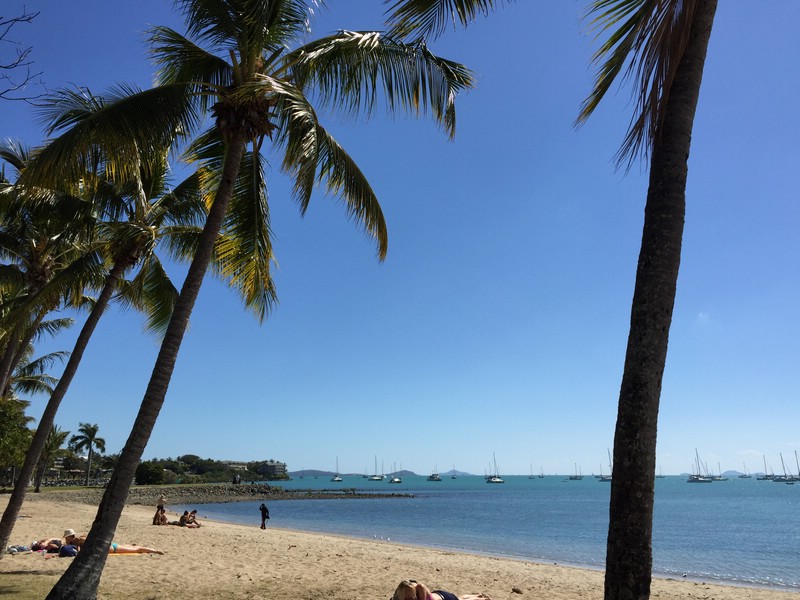 zb) Friday 14 August 2015 ~ Exploring Airlie Beach.JPG