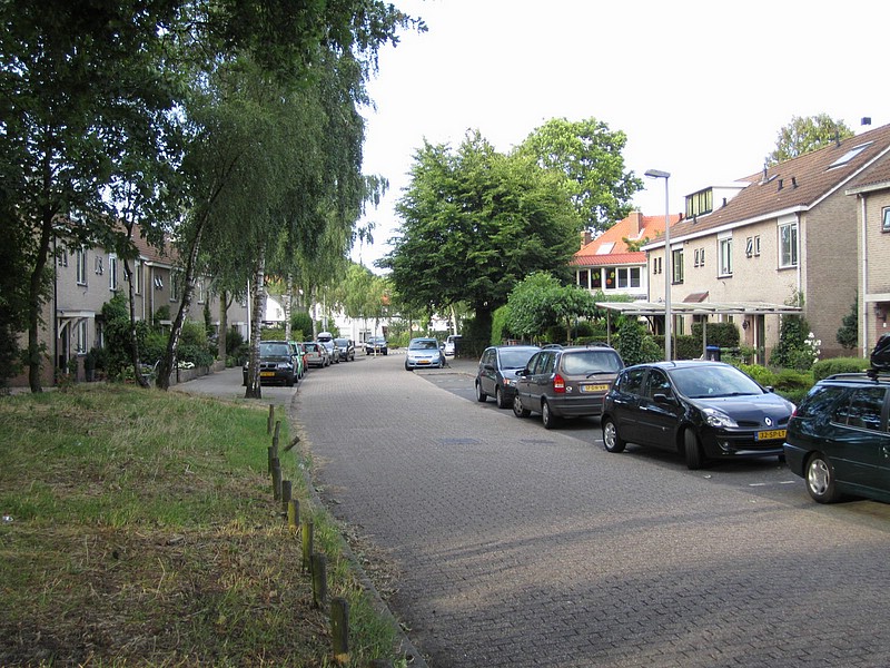 zq) Bussum, SaturdayEvening 17 July 2010 ~ The Street of Esther+Elco.JPG