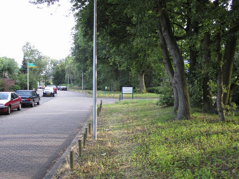 zr) Bussum, SaturdayEvening 17 July 2010 ~ The Street of Esther+Elco.JPG