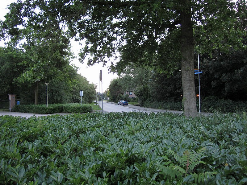 zw) Bussum, SaturdayEvening 17 July 2010, Walking Back to Hotel (Bye!! Until Next Time!! ;-).JPG