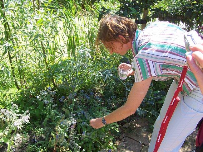 t) Ellen Shows Us Around The Garden.JPG