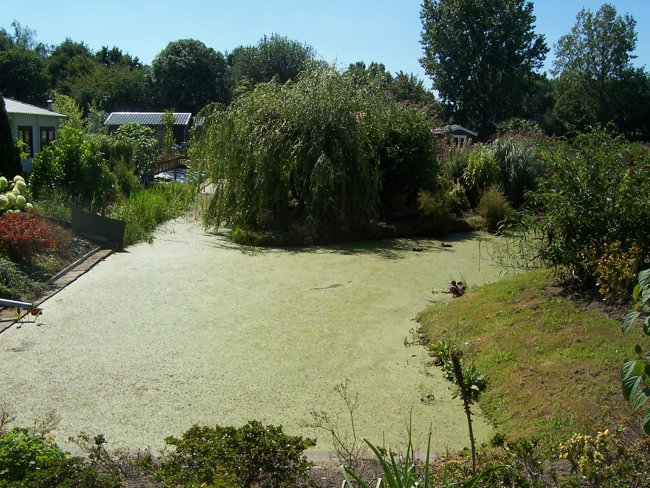 zi) Socio-Cultural+Economic Functions Of AllotmentGardens.JPG