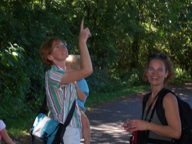 zk) Walking Along Ancient Tree's.JPG