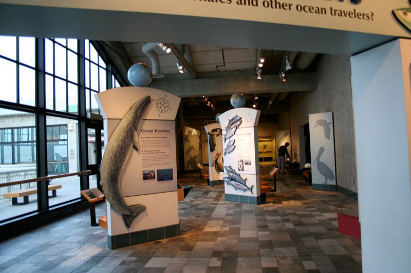 q) Monterey Bay Aquarium.jpg